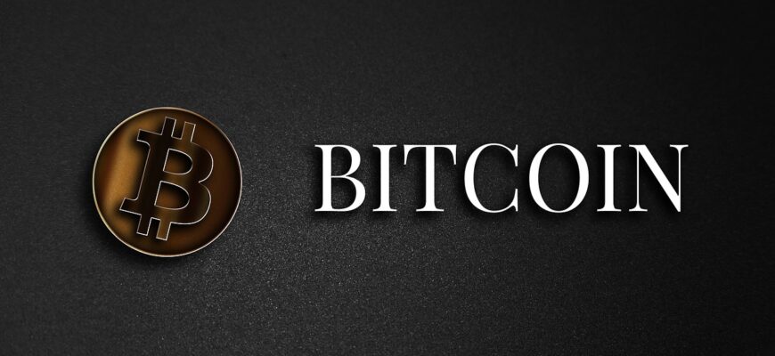 bitcoin, cryptocurrency, electronic money, gold, money, coin, currency, digital money, the internet currency, bitcoin, bitcoin, bitcoin, bitcoin, bitcoin, cryptocurrency, cryptocurrency