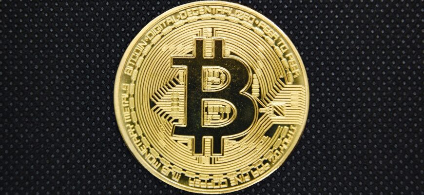 bitcoin, blockchain, currency, coin, gold, bitcoin business, bitcoin icon, safety, bitcoin wallet, bank, business, cash, bit, trade, conceptual, exchange, cryptocurrency, bitcoin, bitcoin, bitcoin, bitcoin, bitcoin