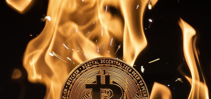 bitcoin, coin, flame, icon, symbol, logo, fire, burning, bitcoin logo, currency, cryptocurrency, bitcoin, bitcoin, bitcoin, bitcoin, bitcoin, bitcoin logo, cryptocurrency