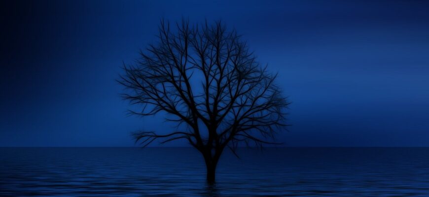 tree, bald, psychology, lonliness, isolation, sadness, dream, imagination, sad, lake, sea, waves, seem, light, nature, reflection, tristess, ocean, the atmosphere, silence, psychology, psychology, psychology, sadness, sad, sad, sad, sad, sad