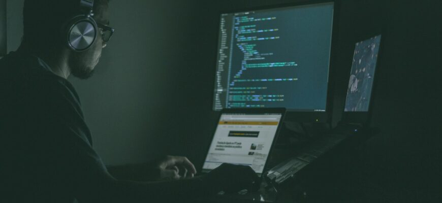 person using laptop computers